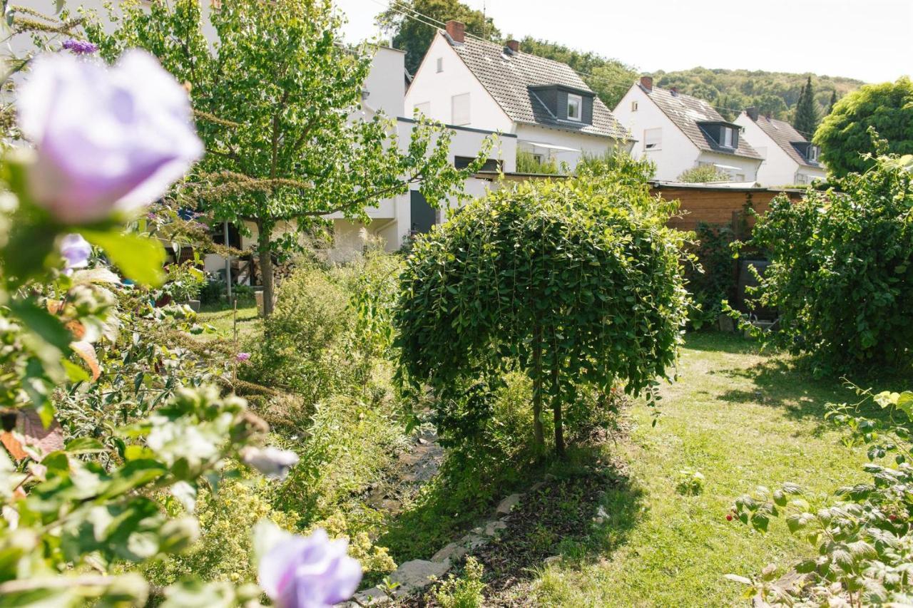 Ferienwohnung Am Breyer Talbach Экстерьер фото